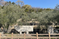 （左）オリーブ発祥の地碑