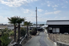 甲生