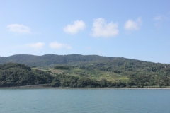 海からの檀山