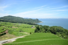 唐櫃の棚田